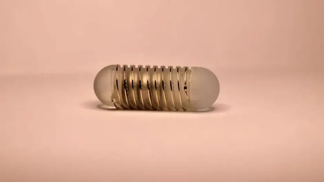 Самая технологичная диета: ученые разработали капсулу, регулирующую аппетит