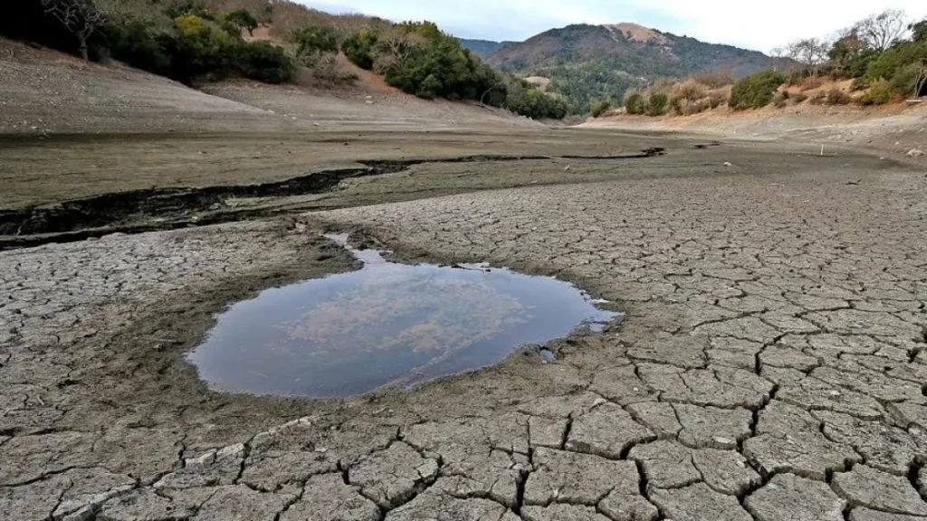 Самые необычные способы добычи пресной воды