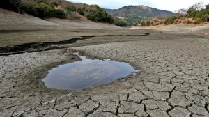 Самые необычные способы добычи пресной воды