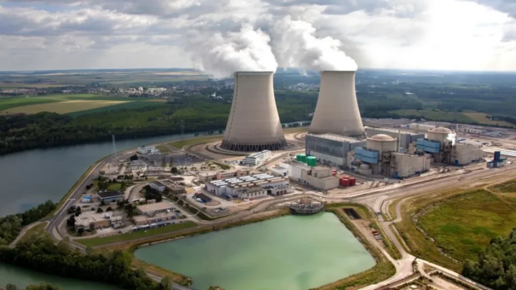 Стая медуз дважды за месяц атаковала одну из крупнейших атомных электростанций Франции