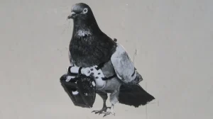 Технологии и немного света — ученые смогли создать устройство управляющее мозгом птиц