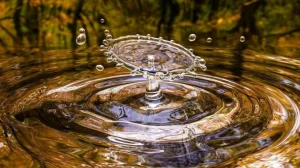 У воды есть два жидких состояния — как они получаются и чем отличаются?