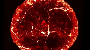 Ученые научились выращивать мозг человека для углубленного изучения болезний