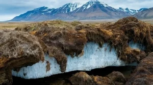 Ученые рассказали, когда растает вся вечная мерзлота