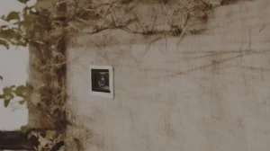 Ученые разработали нейронную камеру способную «видеть» сквозь преграды