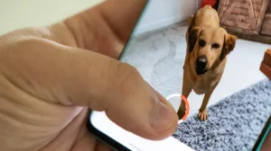 В Google Search добавлено 50 новых 3D-животных, в том числе множество пород собак