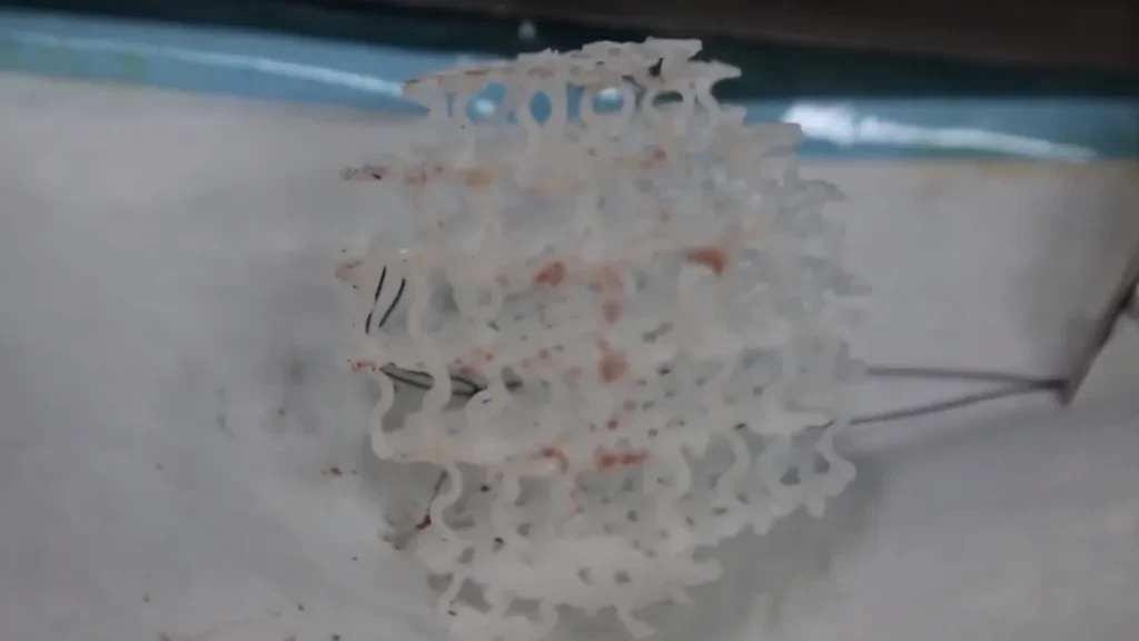 В Китае методом 4D-печати создана молочная железа