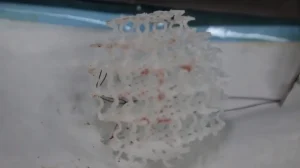 В Китае методом 4D-печати создана молочная железа