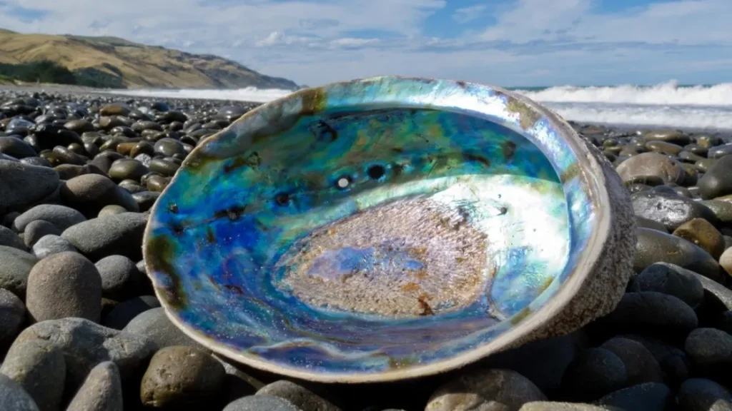 Вдохновлено природой — ученые создают новый тип высокопрочного стекла