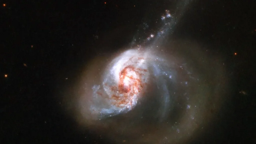 Величие бурлящего огня новых звёзд, запечатлённое телескопом Хаббл