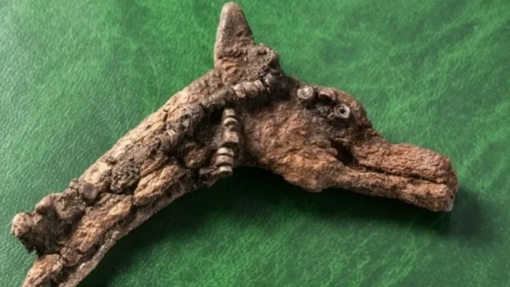 Во что играли 4500 лет назад