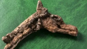 Во что играли 4500 лет назад