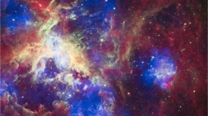 Яркая, но не долгая жизнь массивной галактики XMM-2599