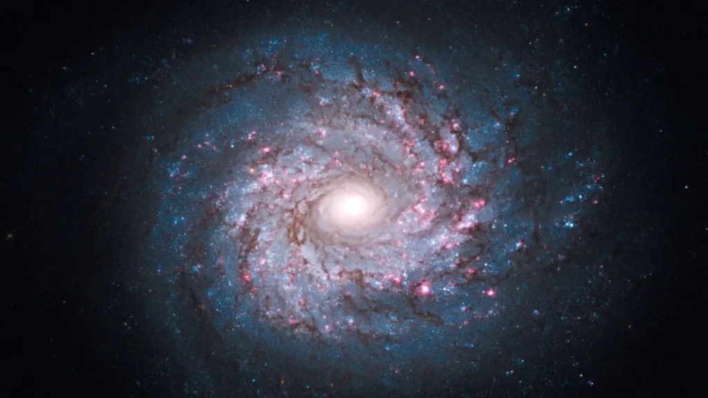 Захватывающее дух изображение звездной фабрики NGC 3982