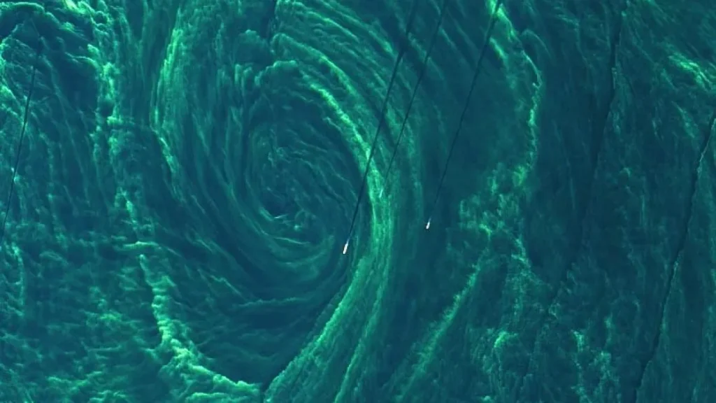 Завораживающее цветение фитопланктона в Балтийском море