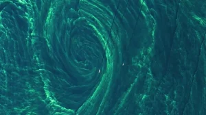 Завораживающее цветение фитопланктона в Балтийском море