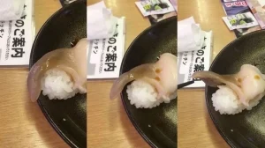 Живое суши «взорвало» соцсети