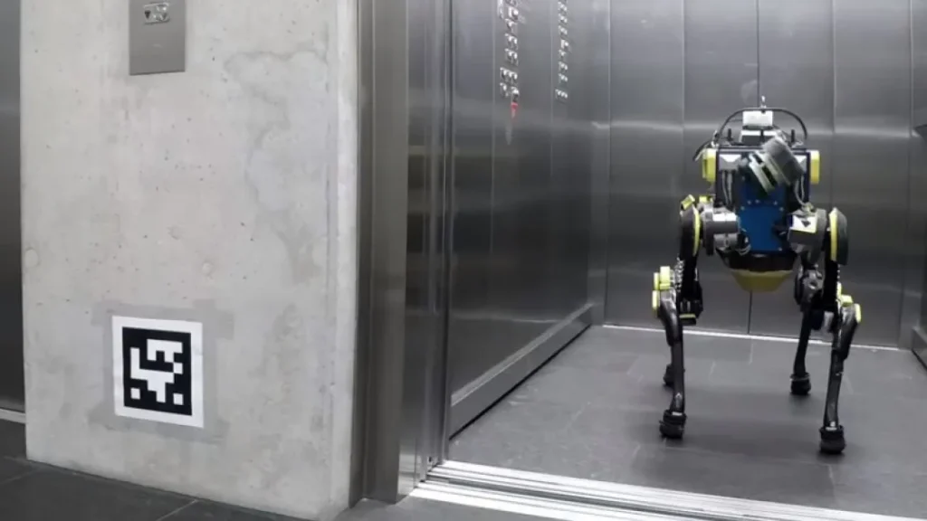 Животное, спускайся на лифте