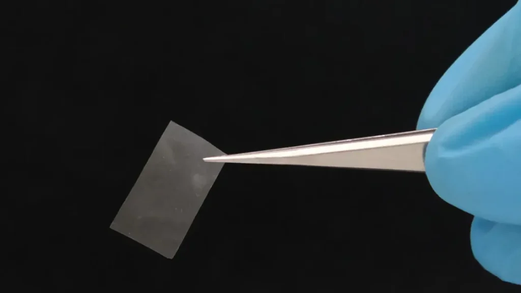 Это съедобно, прочнее пластика и само разлагает мусор: грибной материал будущего уже здесь!