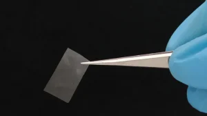 Это съедобно, прочнее пластика и само разлагает мусор: грибной материал будущего уже здесь!