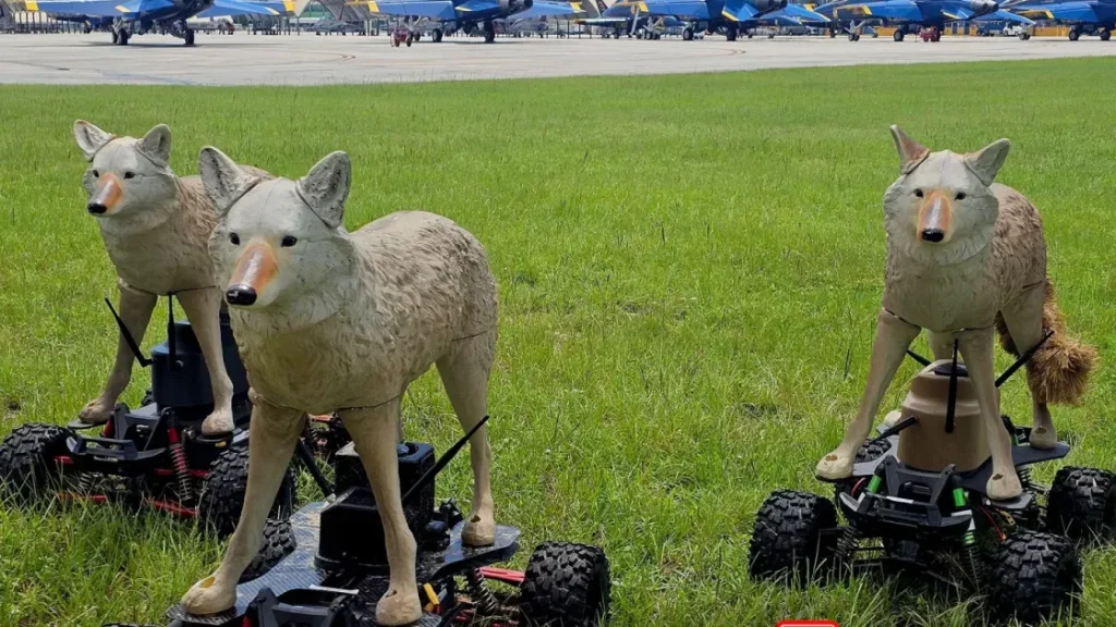 Роботы-койоты на страже аэродромов: как армия США отпугивает птиц