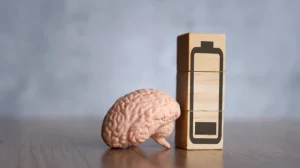 Разгадана тайна дневной сонливости: ученые нашли 7 биомаркеров, которые влияют на нашу энергичность