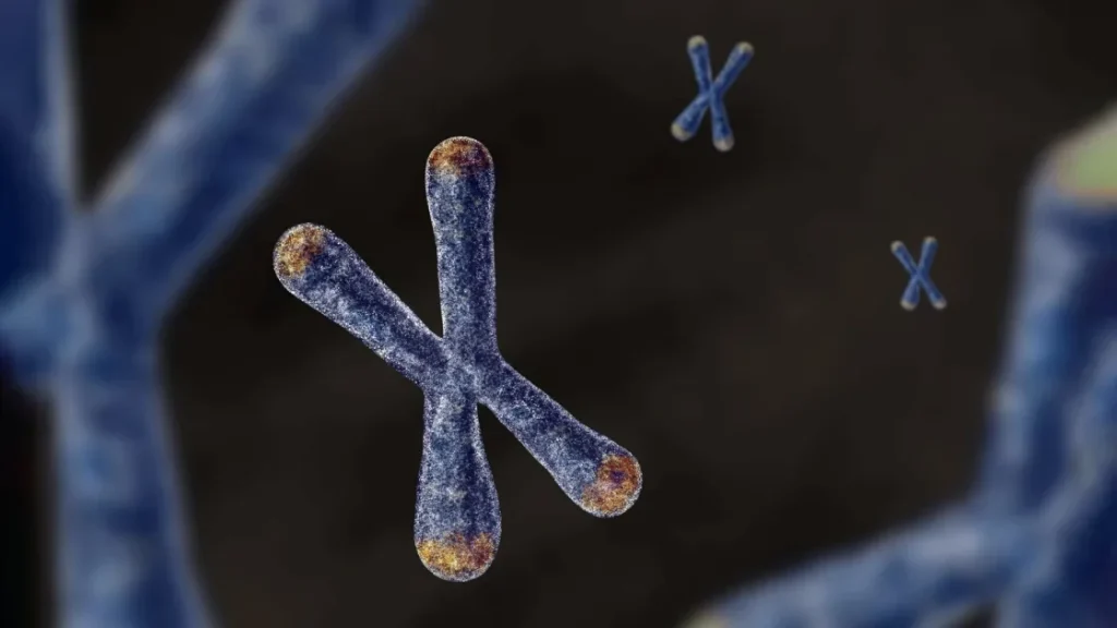 Ученые раскрыли новый механизм наследования, определяющий продолжительность жизни