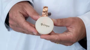 Швейцарские учёные создали живую батарею из грибов