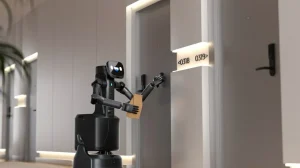 Этот странный колесный робот будет помогать в отелях и других местах